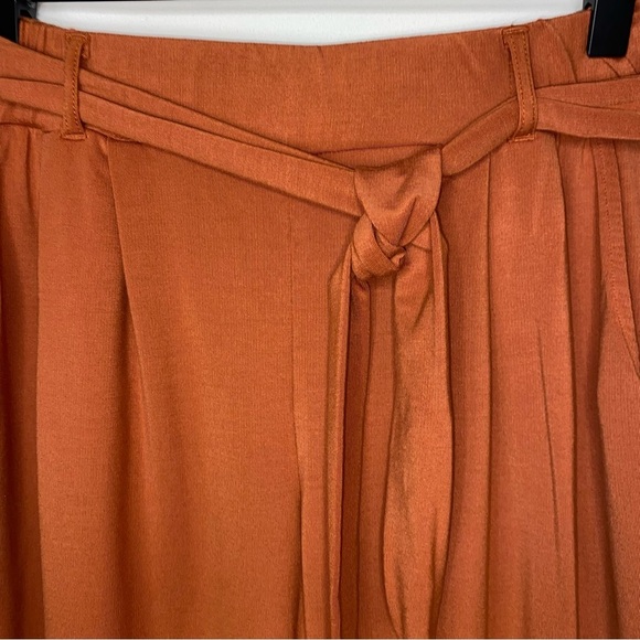 Garnet Hill Women's Easy Knit Terry Pants M Rust Belted Pleated Office Career - Picture 5 of 12